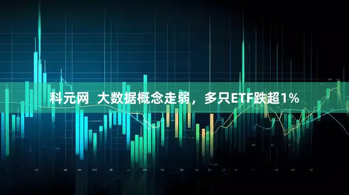科元网  大数据概念走弱，多只ETF跌超1%