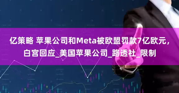 亿策略 苹果公司和Meta被欧盟罚款7亿欧元，白宫回应_美国苹果公司_路透社_限制
