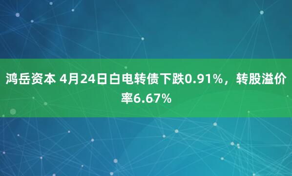 鸿岳资本 4月24日白电转债下跌0.91%，转股溢价率6.67%