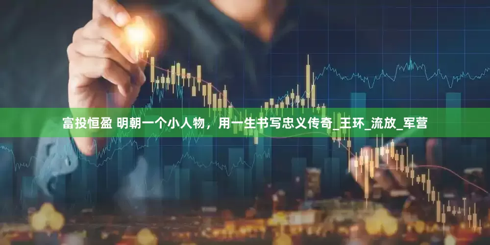 富投恒盈 明朝一个小人物，用一生书写忠义传奇_王环_流放_军营
